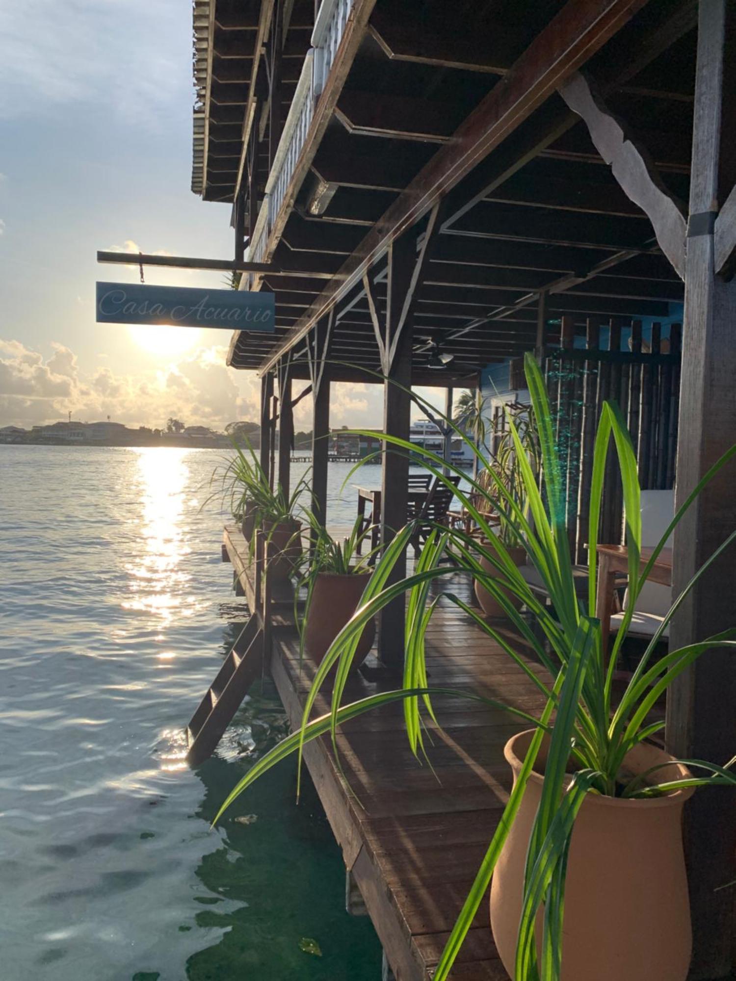 Casa Acuario Boutique Hotel Bocas del Toro Exterior foto